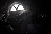 spider webs - Teaneck Exterminators in Teaneck, NJ